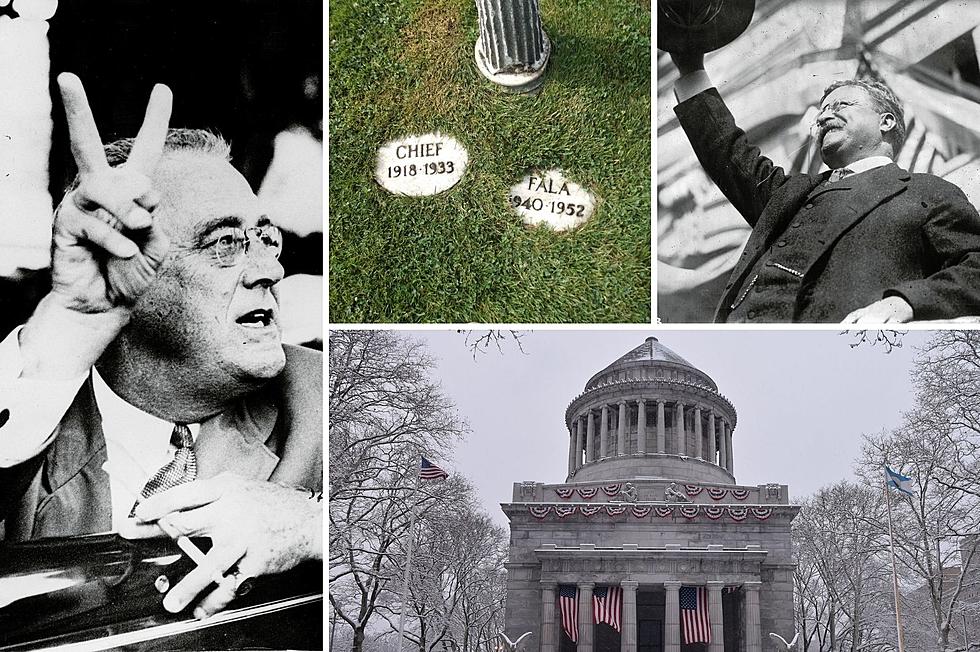 GALLERY: New York State’s Amazing Past White House Connections