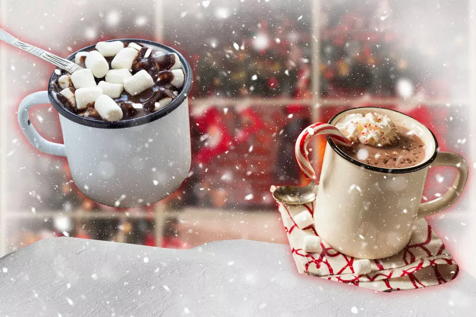 Warm Up At These 11 Fun Hot Chocolate Cafes in Upstate New York