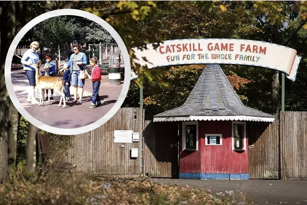 Memories Come Alive at the Old Catskill Game Farm [PICS]