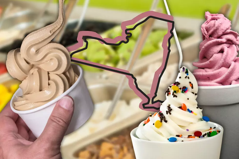 Celebrate Frozen Yogurt Month 12 Legendary Upstate New York Stands
