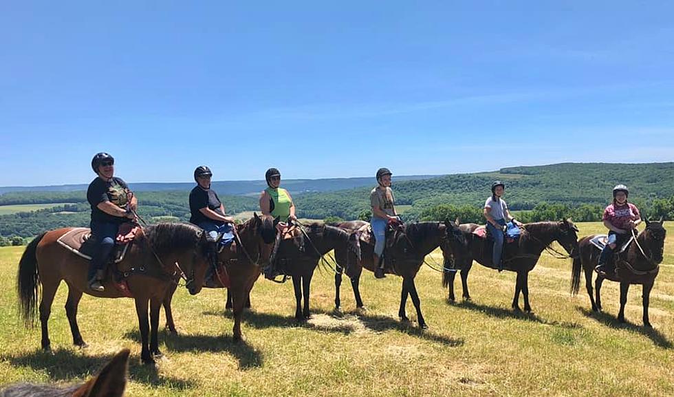 “Saddle Up” At These Top Upstate New York Horse Riding Stables!