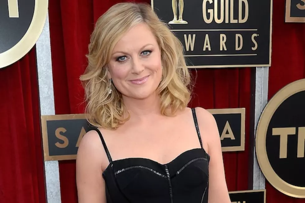 Amy Poehler Lands a Deal to Write a Book We Already Want to Read