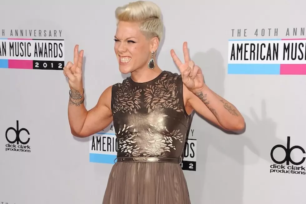 Pink Stopped a Concert to Console a Crying Little Girl Because She’s Awesome That Way [VIDEO]