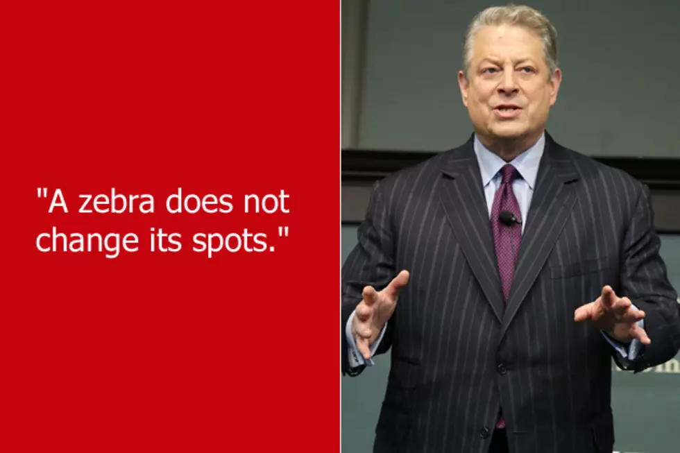 Dumb Celebrity Quotes &#8211; Al Gore