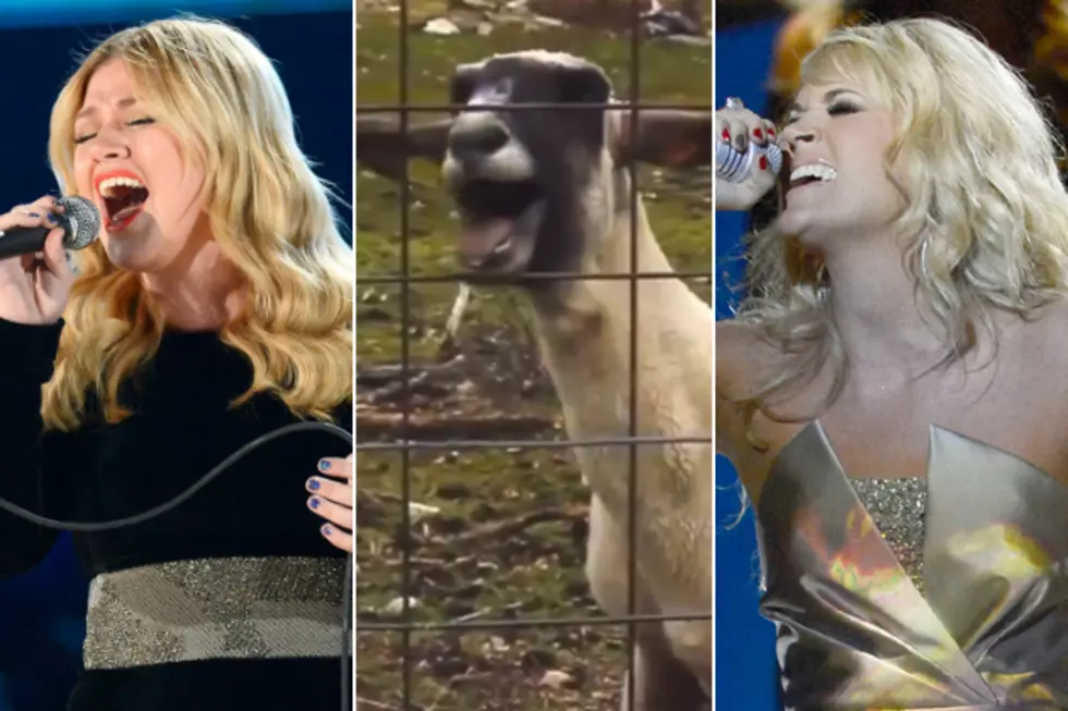 Kelly Clarkson + Carrie Underwood Don&#8217;t Mind Sharing Vocals With a Screaming Goat [VIDEOS]