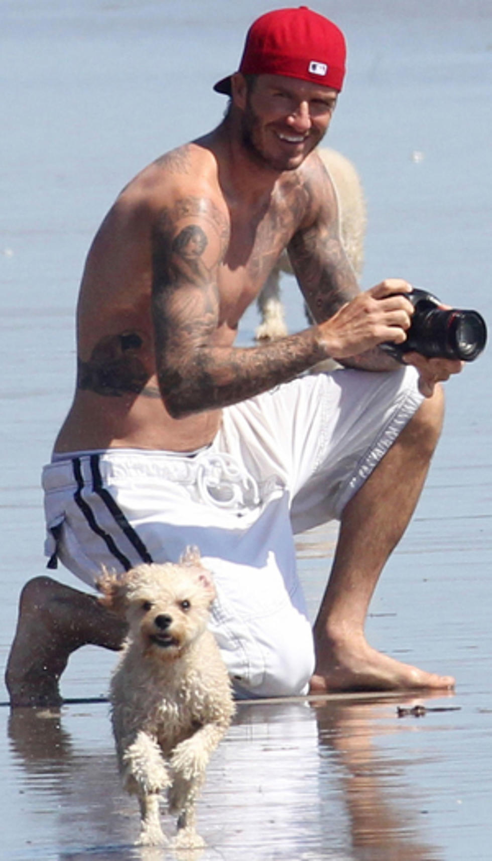 David Beckham &#8211; Shirtless Celebrity Studs