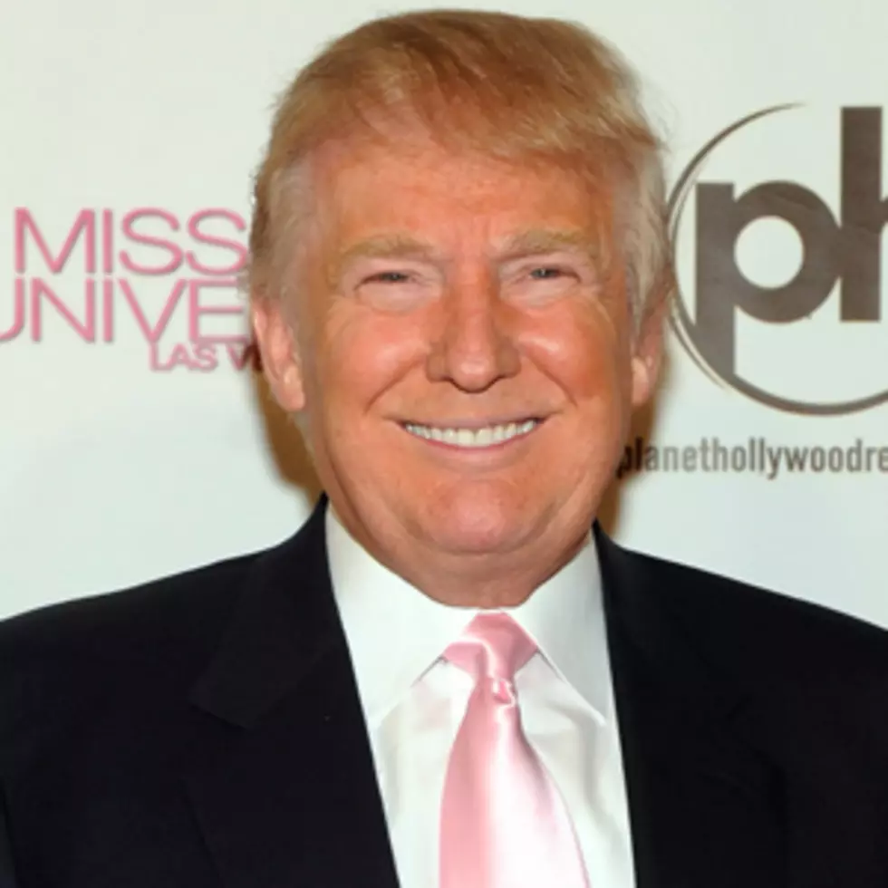 Donald Trump &#8211; Bankrupt Celebrities