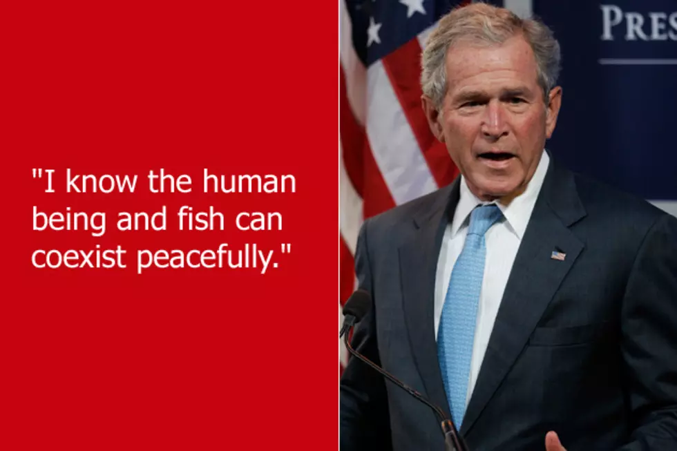 Dumb Celebrity Quotes – George W. Bush