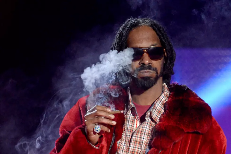 Snoop Lion’s 420 Festival Was Mad Chill But Still Shut Down for the Exact Reasons You’d Expect