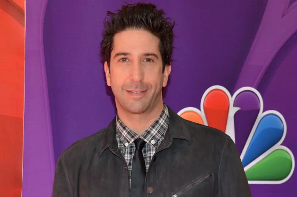 David Schwimmer&#8217;s Neighbors Think He&#8217;s Terribly Uncool
