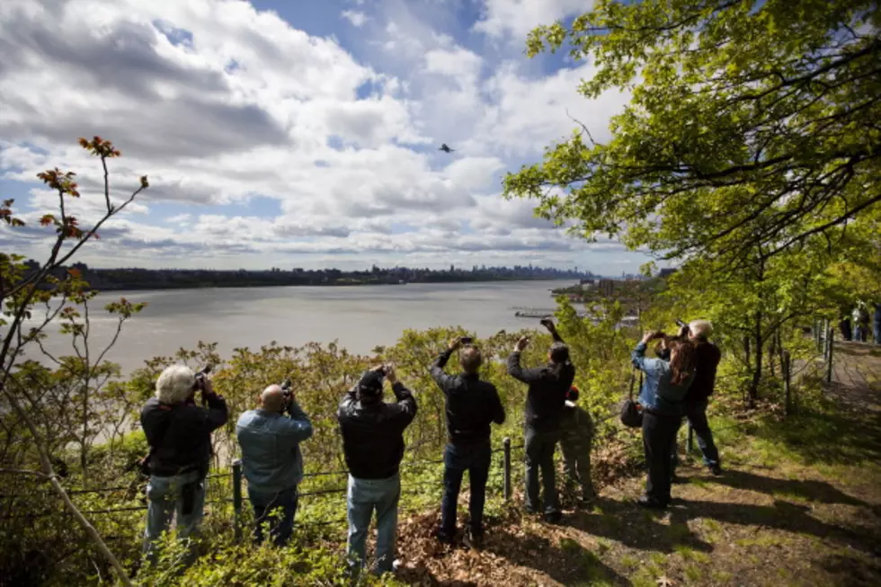 1,000 Ways Die in Albany: Take a Dive in the Hudson River