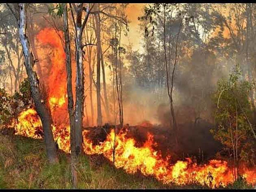 This is What Started the Largest Wharton State Forest Fire in 10 Years