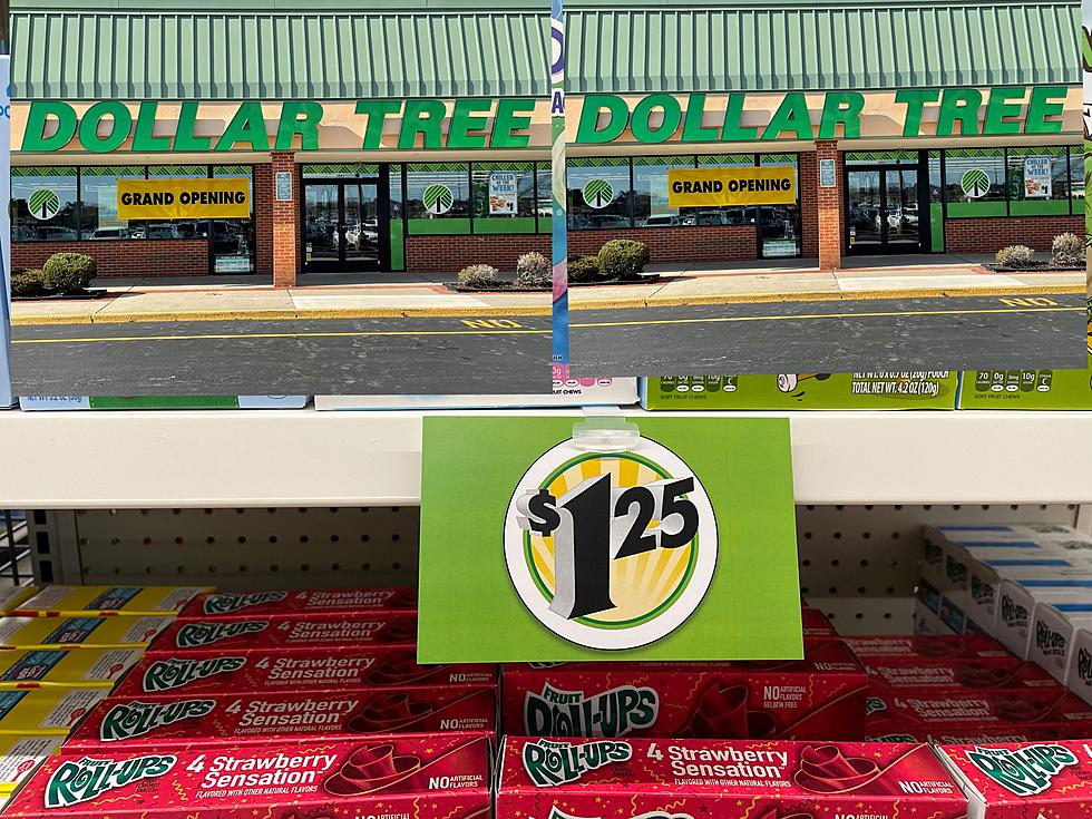 Dollar Tree Egg Harbor Twp. Store Is Open: Prices Are $1.25