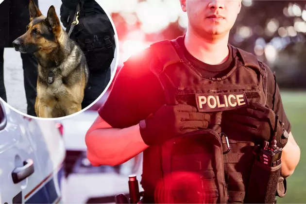 Armed Police &#038; K-9 Dogs Coming To Atlantic County, NJ Schools?