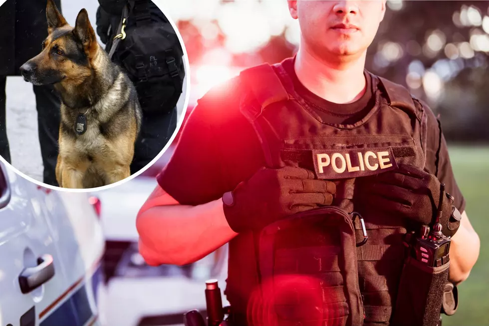 Armed Police & K-9 Dogs Coming To Atlantic County, NJ Schools?