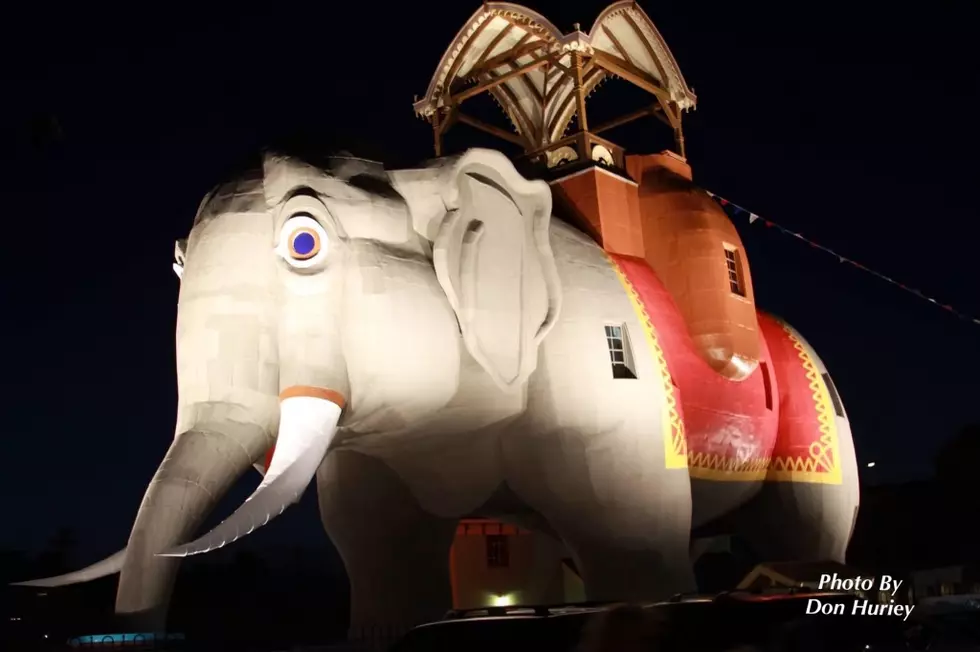 Lucy The Elephant Update About Reopening & Gigantic Shower