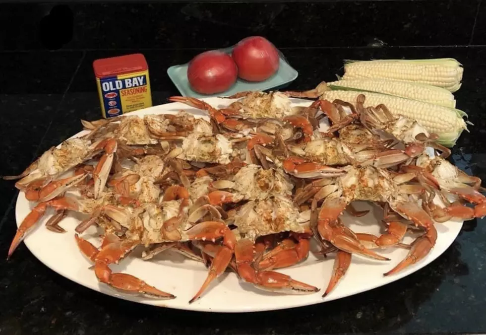 Best Seafood Crabs In Atlantic City, Margate, NJ & Beyond