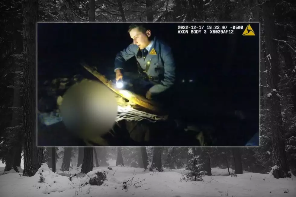Video: Heroic NJ State Troopers Rescue Man in Stokes State Forest