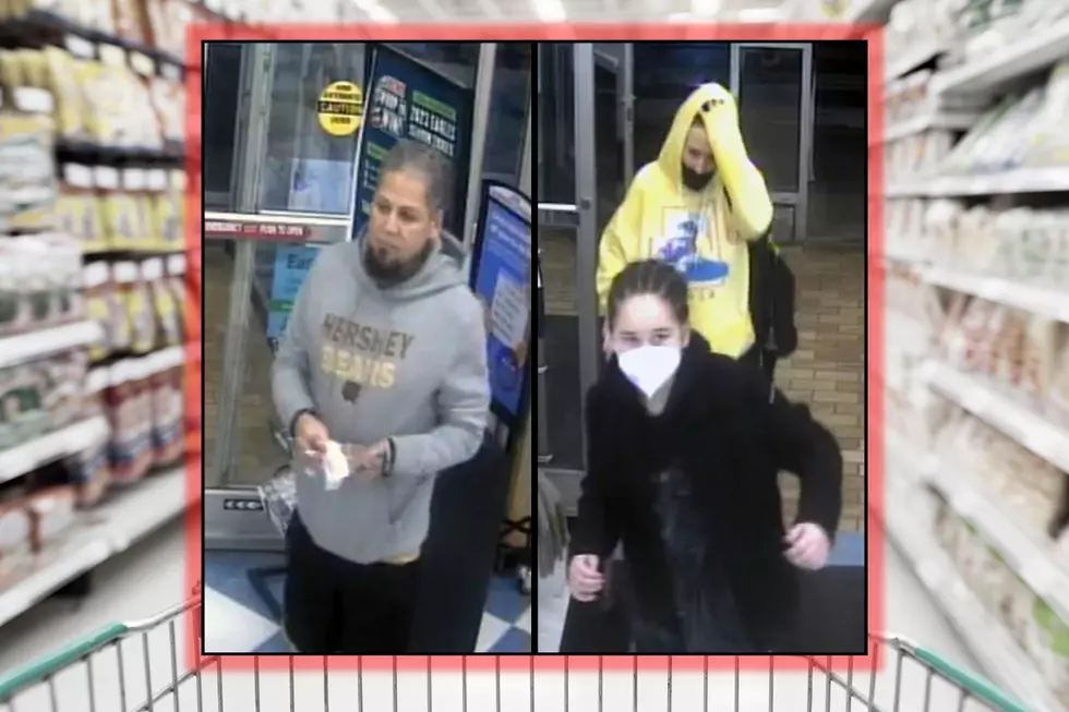 NJ State Police: Can You Identify These Cape May County Repeat Shoplifters?
