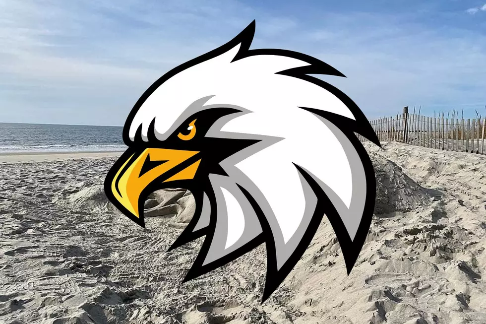 Philadelphia Eagles Logo Sand Sculpture In Cape May