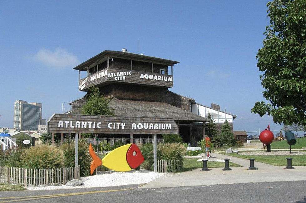 Will The Atlantic City, New Jersey Aquarium Ever Reopen, Again?