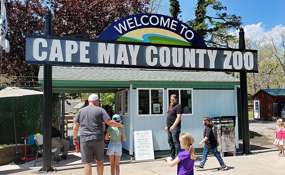Cape May County Zoo Project Will Temporarily Close Entrance