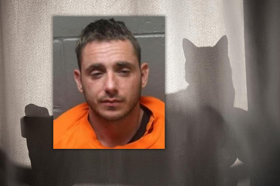 Galloway Twp. Man Gets 4 Years For Torturing Cat, Pointing Gun