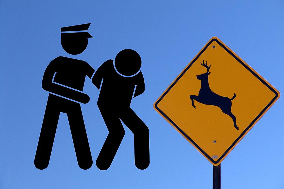 Police Say Deer Led to DWI Arrest in Vineland