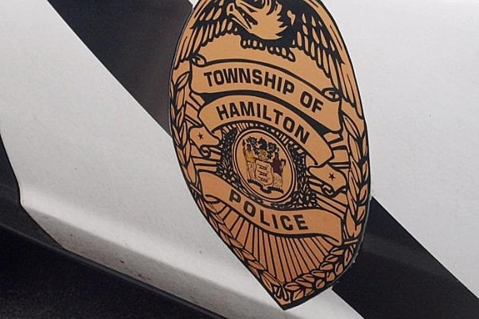 Cops in Hamilton Twp. Responded to 620 Calls at End of November