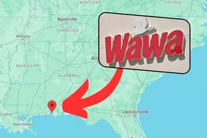 Wawa's first store in Alabama is open — a NJ native offers tips