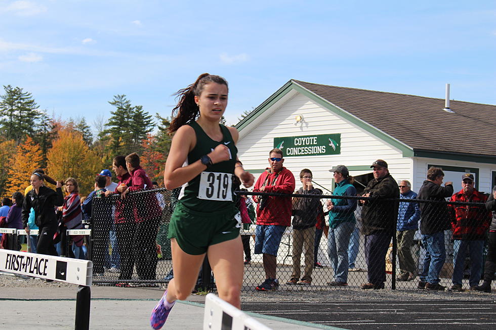 Tardy Named to Telegram All State X-Country Team