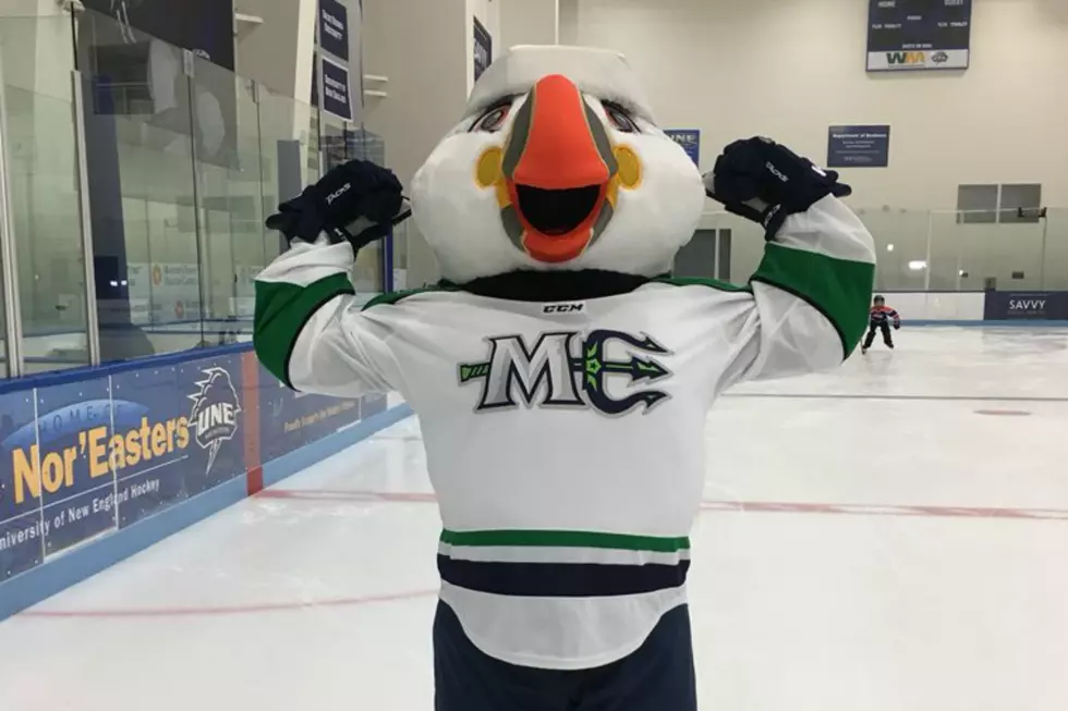Maine Mariners Introduce New Mascot, Beacon the Puffin