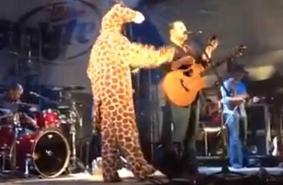 Randy Rogers Loses Bet to Josh Abbott, Sings ‘She’s Like Texas’ Dressed as a Giraffe [DISTANT REPLAY]