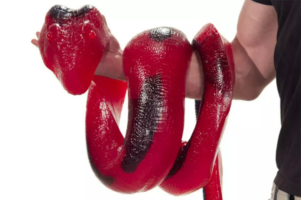 The Giant Edible Gummy Python And Gummy Bear Breast Implants