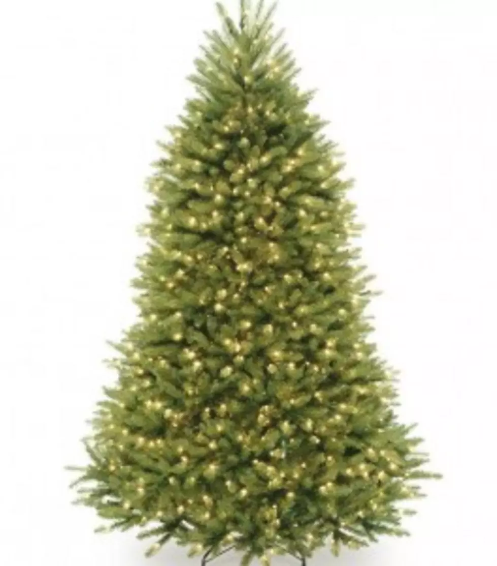Better Think Twice When You Pick The  Christmas Tree You Want [VIDEO]