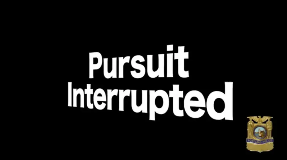 A Pursuit Innocently Interrupted [VIDEO]