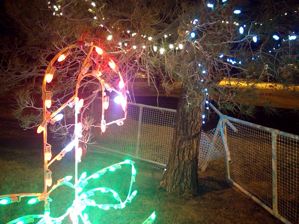 Our Musical Salute to the Shawver Park Christmas Light Show Fail