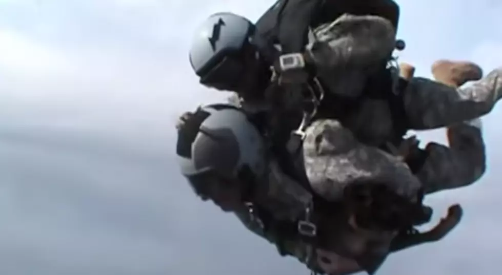 Amputee Soldier And Military Dog Skydive Together [VIDEO]