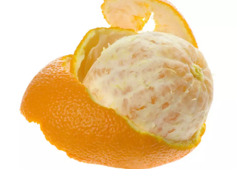 A Time-lapse of Roaches Eating Five Oranges [VIDEO]