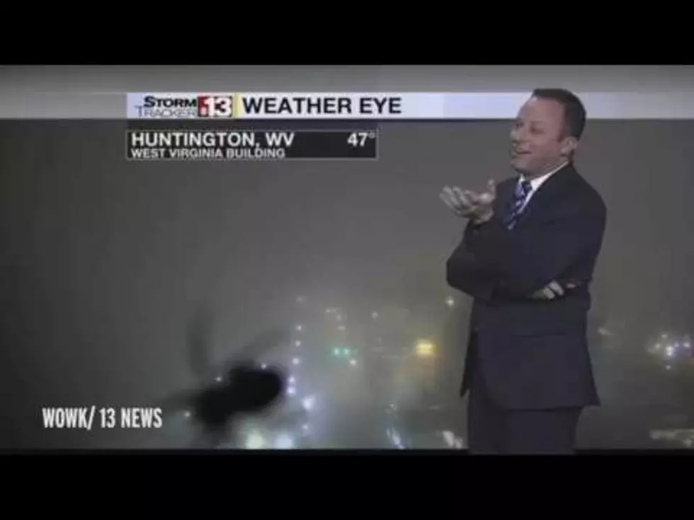 Weatherman Can’t Hide His Fear of Spiders