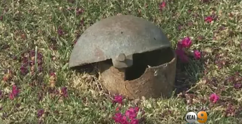 True Love Story – the Tortoise and the Drain