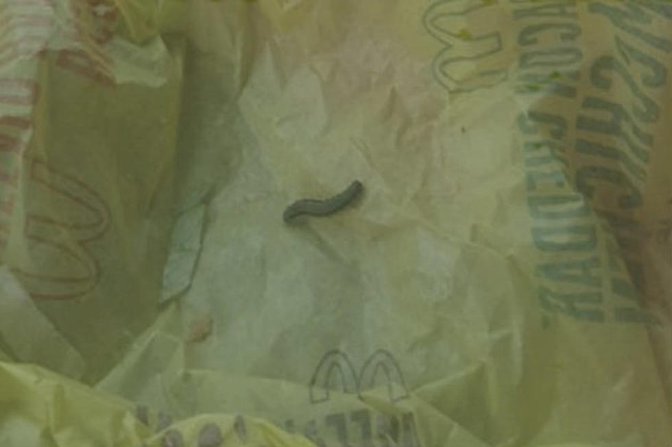 Worms in McDonald's Food