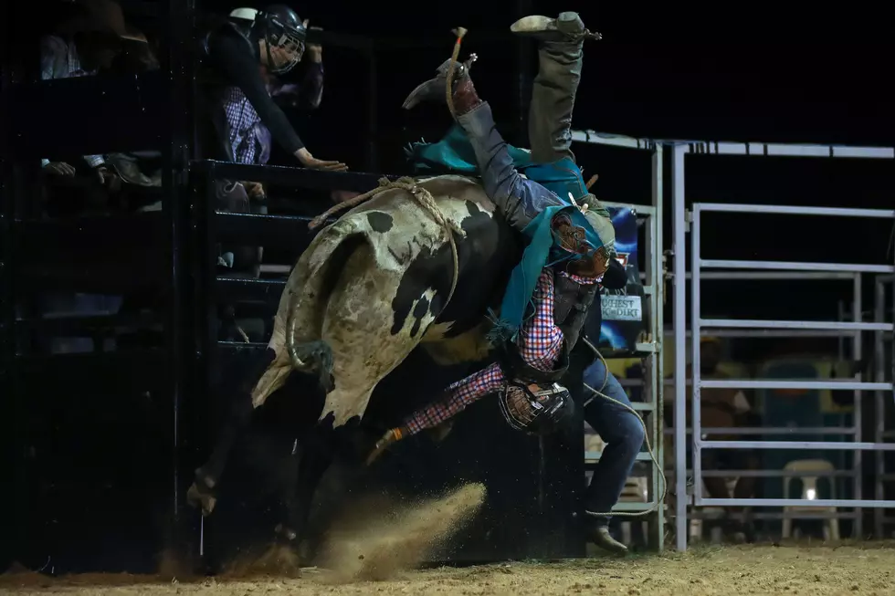 Championship Bull Riding Returns To El Paso