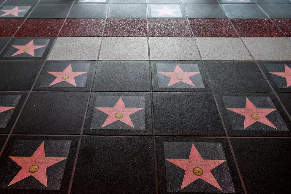 Fine, I'll Defend the Hollywood Walk of Fame