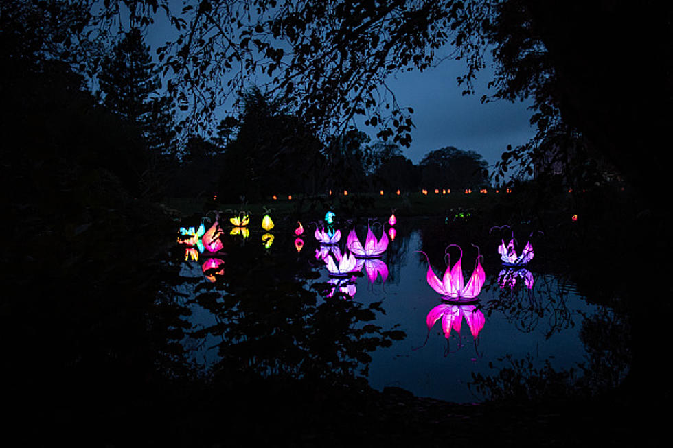 Ascarate Lake Will Literally Be Lit at the Water Lantern Fesitval