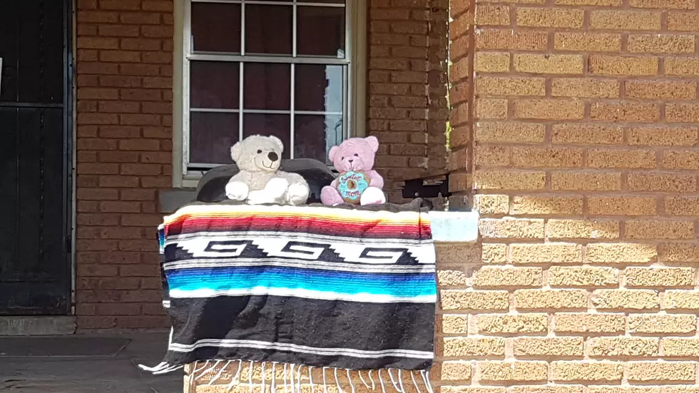 Here’s Why You’re Seeing Teddy Bears on Windows & Porches