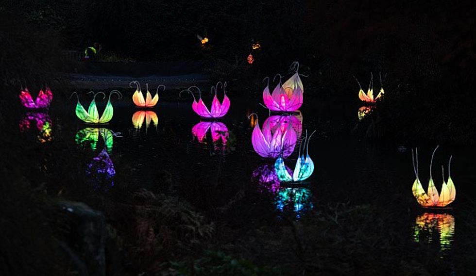 Water Lantern Festival: Ascarate Lake Will Literally Be Lit Again