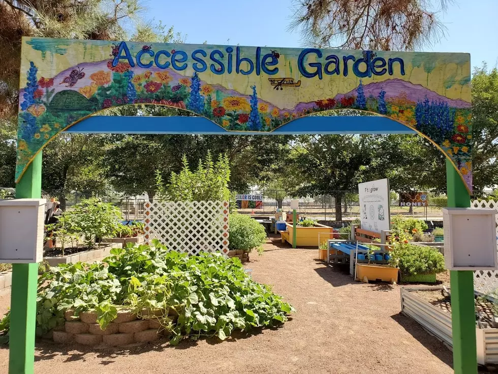  Get Your Zen on Online From This Gardening Center in El Paso