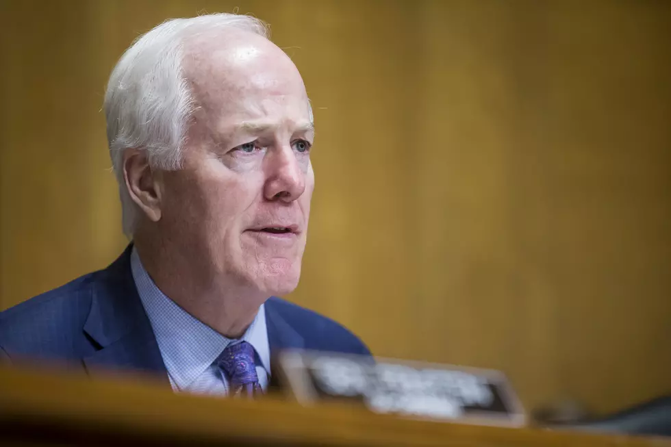 Texas Senator Cornyn Confused About Puerto Rico and Elections