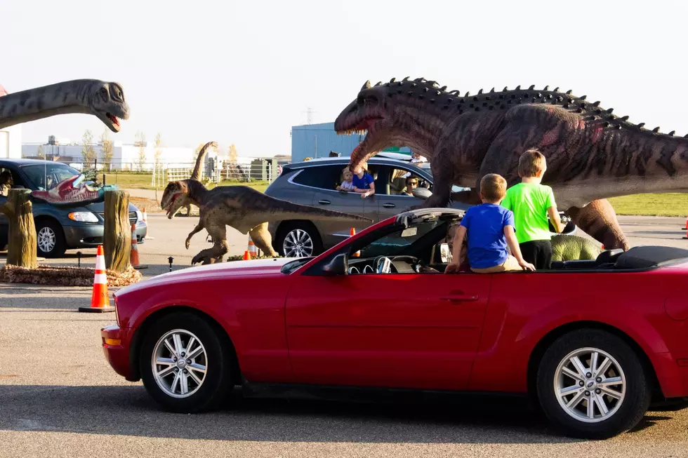 Jurassic Empire Takes Over EP County Coliseum This Weekend